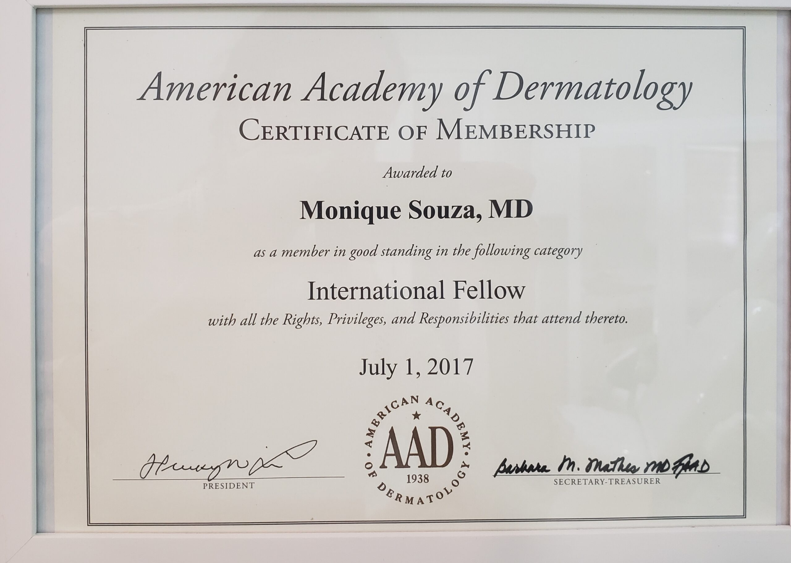 American Academy desde 2017